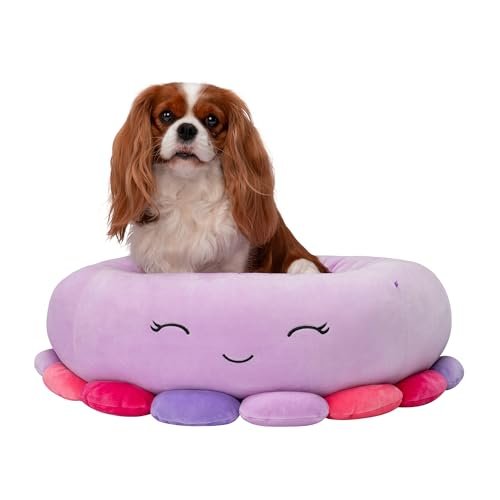 Squishmallows Lola Unicorn Pet Bed vs Dog Bed Collection: Which Style Suits Your Pet's Sleep Habits?