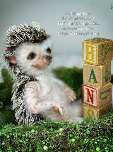 Hans the Hedgehog – 12" Fall Festival